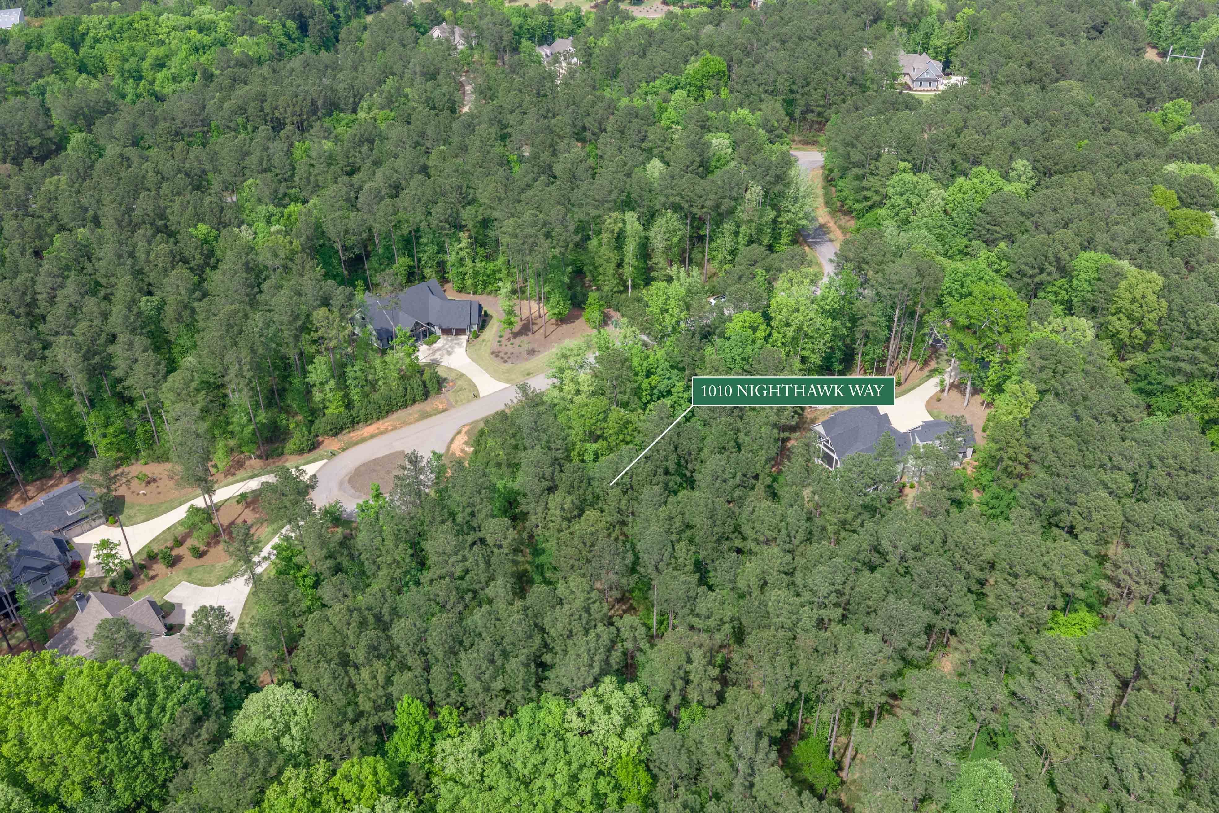 1010 Nighthawk Way image 8